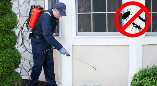 Karaköprü Dezenfeksiyon böcek ilaçlama ve haşere kontrolü — ilaclama-tr.com